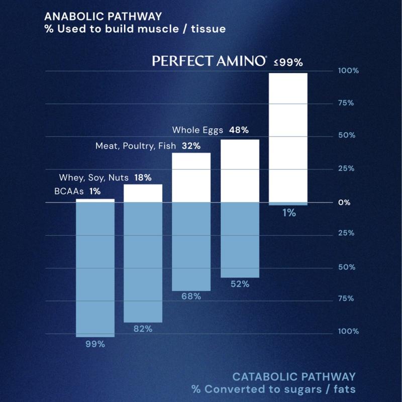 Perfect Amino Tablets